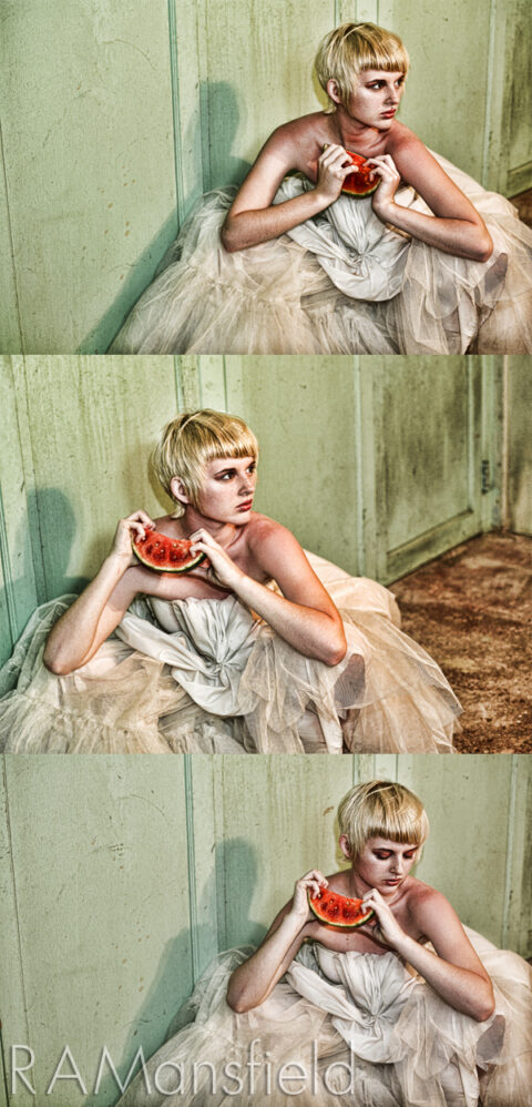 Photography and Photoshop - Holli Mellon